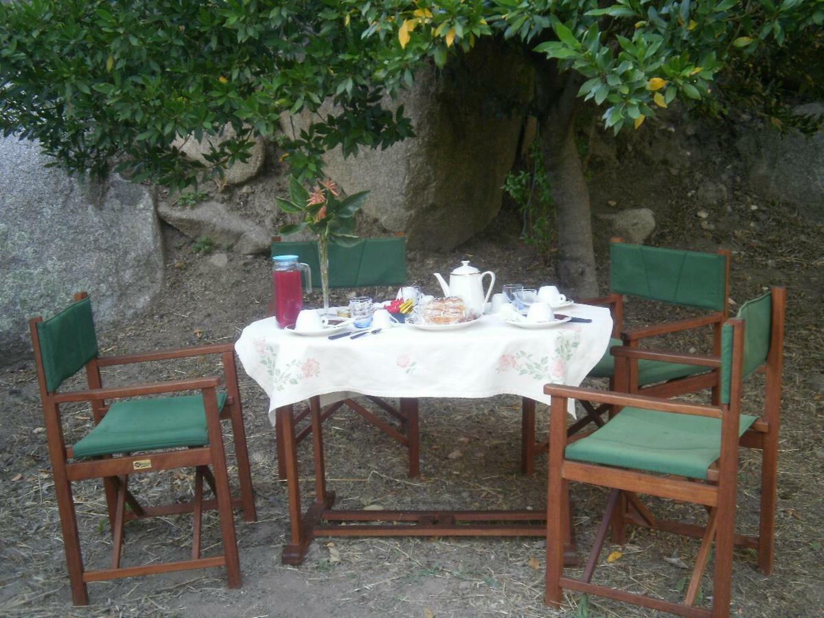 La Collina Dei Ciliegi Bed & Breakfast Sarule Dış mekan fotoğraf