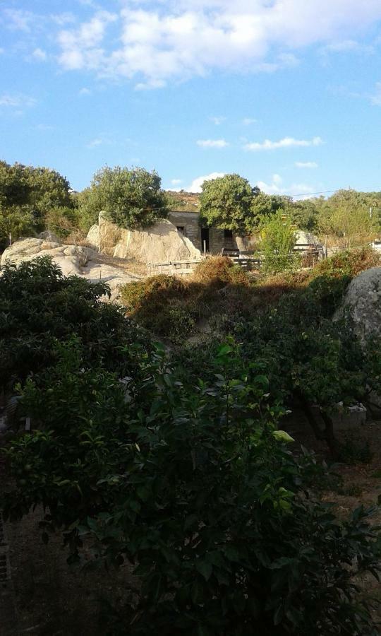 La Collina Dei Ciliegi Bed & Breakfast Sarule Dış mekan fotoğraf