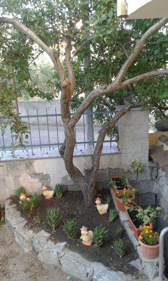 La Collina Dei Ciliegi Bed & Breakfast Sarule Dış mekan fotoğraf